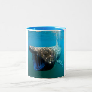 Haifischfische Tropischer Ozean Schicksal Geschenk Zweifarbige Tasse
