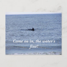 Haifischflossen-Postkarte