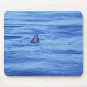 Haifischschwimmen im Ozeanwasser Mousepad