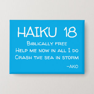 HAIKU 18 BUTTON