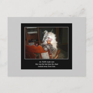 haiku cat 15 carte postale