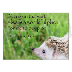 Haiku de hérisson