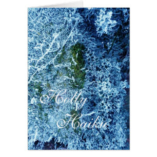 Haiku de houx