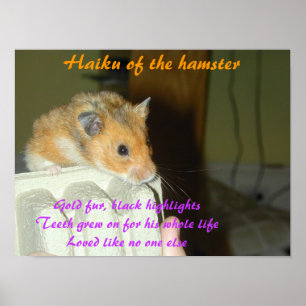 Haiku des Hamsters 1 Poster