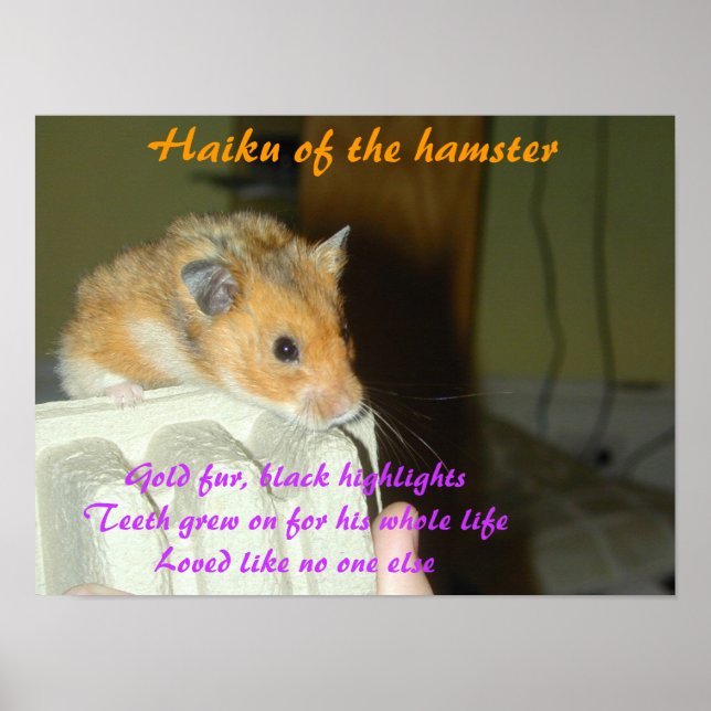 Haiku des Hamsters 1 Poster (Vorne)