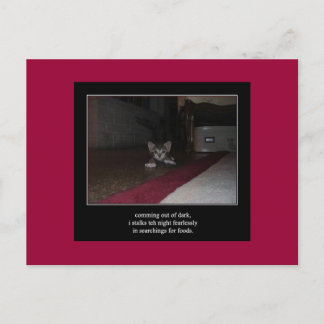 Haiku Katze 1 Postkarte