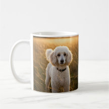 Haiku Poodle Solace Tasse