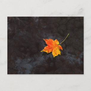 Haiku Postcard Postkarte