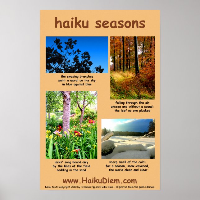 Haiku Seasons Poster (peach background) (Vorne)