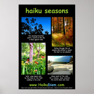 Haiku würzt Plakat (schwarzen Hintergrund)