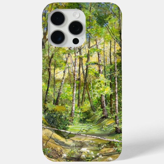 Hain iPhone 15 Pro Max Hülle (Rückseite)