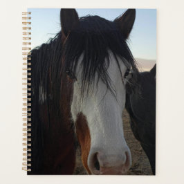 Hair in the Eyes Planner Planer