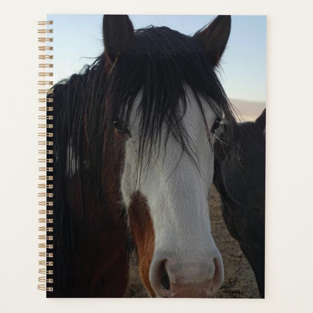 Hair in the Eyes Planner Planer (Vorderseite)