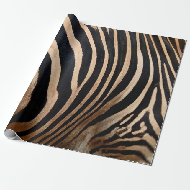 hair skin of zebraskin,animal,background,black,bod geschenkpapier (Ungerollt)