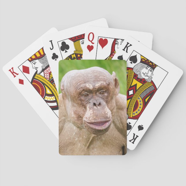 Hairless Chimpanze Spielkarten (Rückseite)