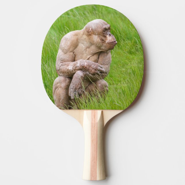 Hairless Chimpanze Tischtennis Schläger (Vorderseite)