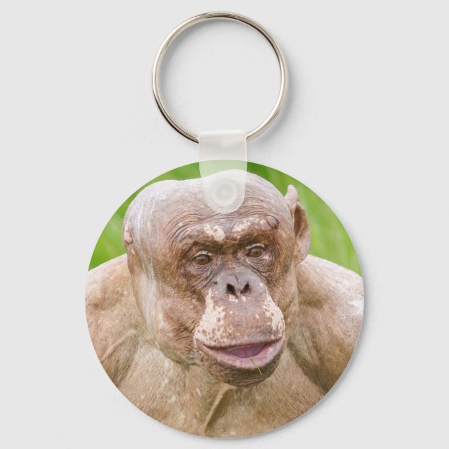 Hairless Chimpanzee Magnet Schlüsselanhänger (Vorderseite)