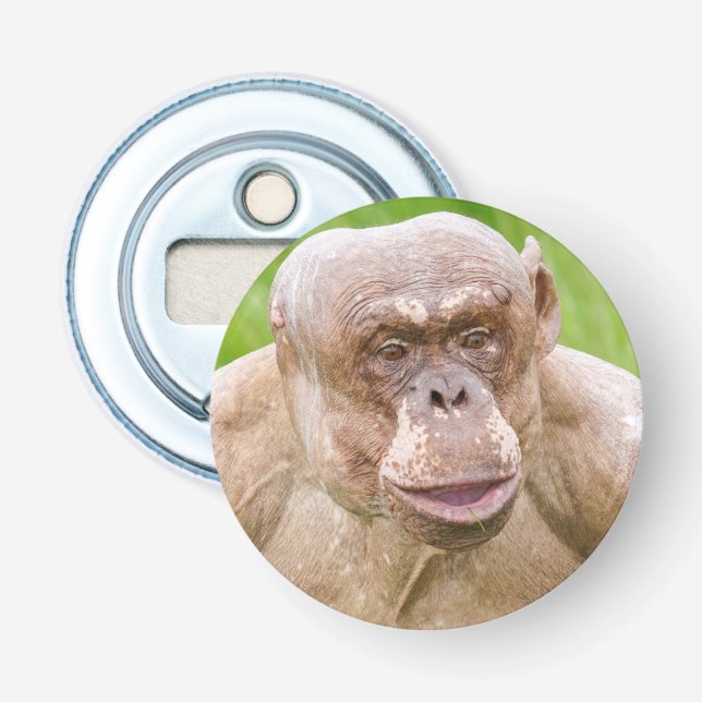 Hairless Chimpanzee Magnet Schlüsselanhänger Flaschenöffner (Vorderseite)