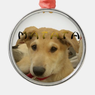 Hakuna Matata I know what you are thinking pinctur Ornament Aus Metall