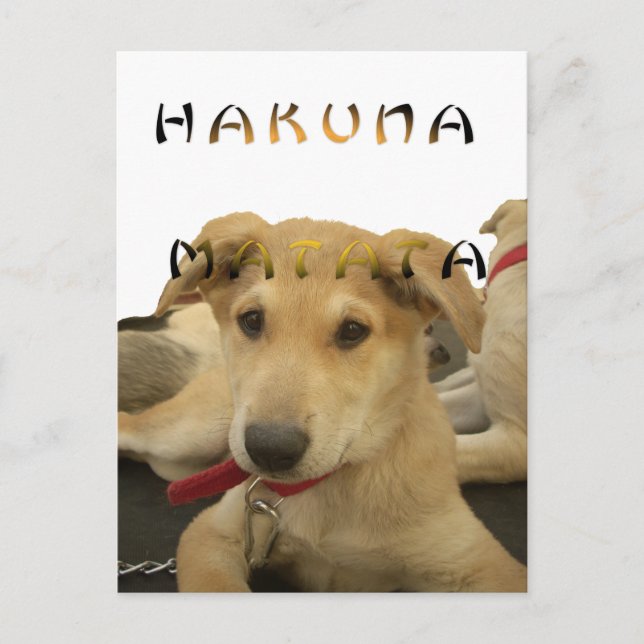 Hakuna Matata Ich weiß, was Sie denken Bild Postkarte (Vorderseite)