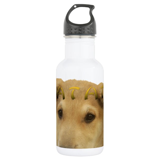 Hakuna Matata Ich weiß, was Sie denken pinctur Edelstahlflasche (Vorderseite)