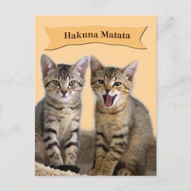 Hakuna Matata Kitten Postcard Postkarte (Vorderseite)