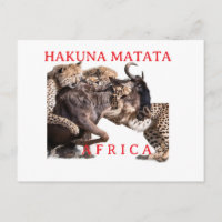 Hakuna Matata Safari Postkarte | Wilde Tiere