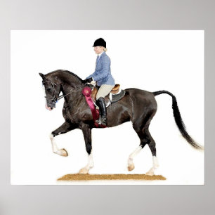 Halb arabischer poster