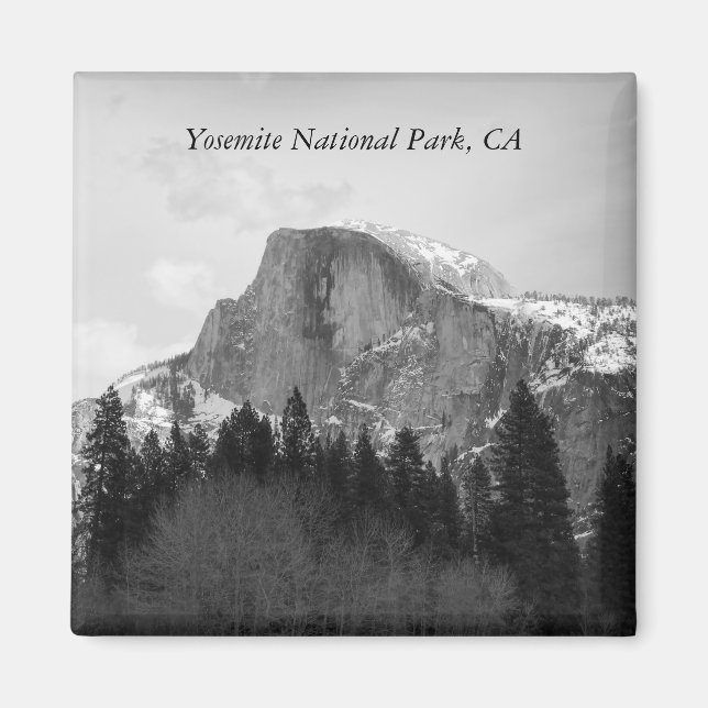 Halb-Dome-Magnet Magnet (Vorne)