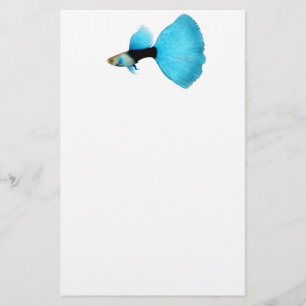 Halb schwarzes blaues extravagantes briefpapier