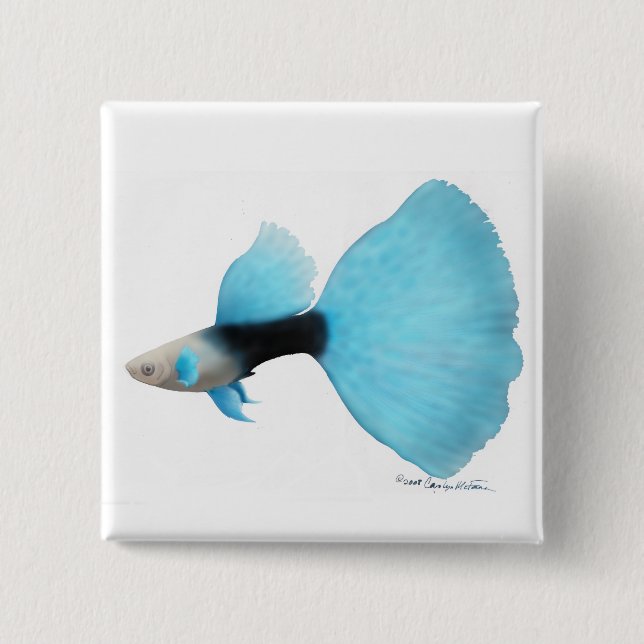 Halb schwarzes blaues extravagantes Guppy-Button Button (Vorderseite)
