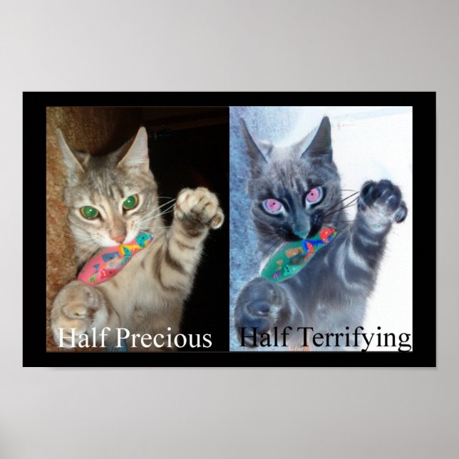 Halb und halb poster (Vorne)