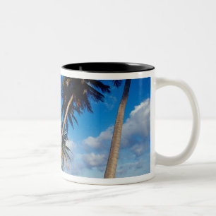 Halbinsel La Samana, Dominikanische Republik, Zweifarbige Tasse