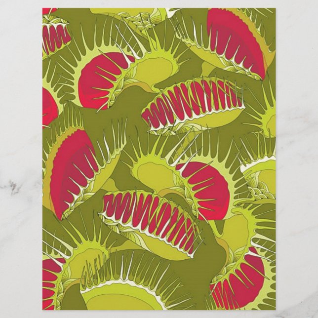 Halbländerfalle (Vorderseite)