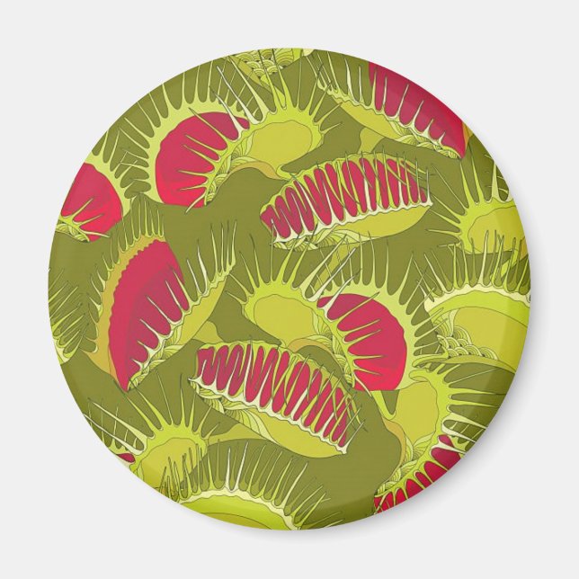 Halbländerfalle Magnet (Vorne)