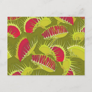 Halbländerfalle Postkarte