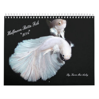 Halbmond Betta Fischkalender 2014 Kalender