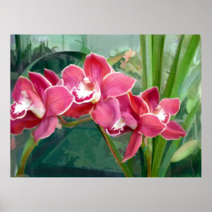 Halbmond von Cymbidium Poster