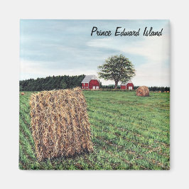 Hale Bales Square Magnet