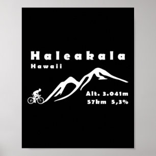 Haleakala, Hawaii, USA, Radfahren, Fahrrad, Bergst Poster