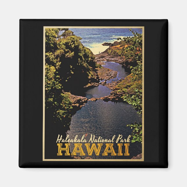 Haleakala Nationalpark Hawaii Magnet (Vorne)