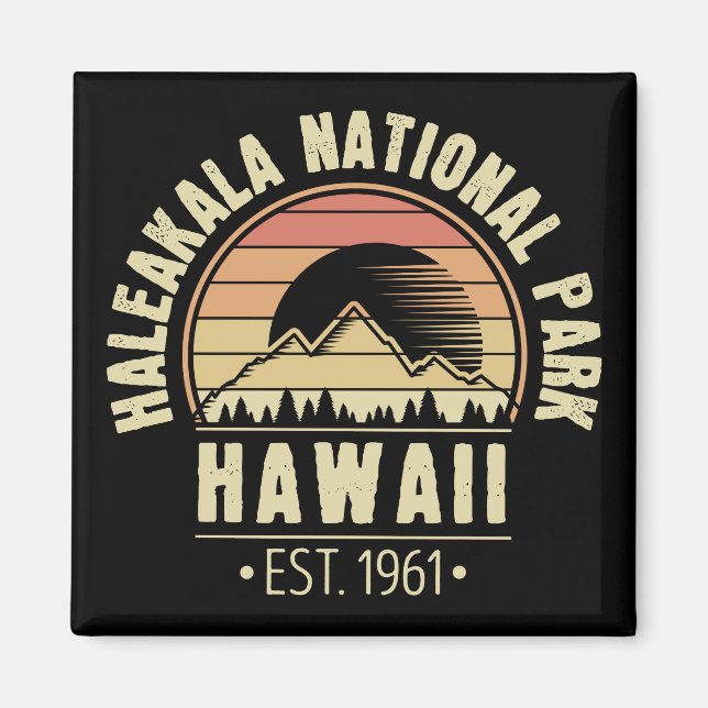 Haleakala Nationalpark Hawaii Retro Magnet (Vorne)
