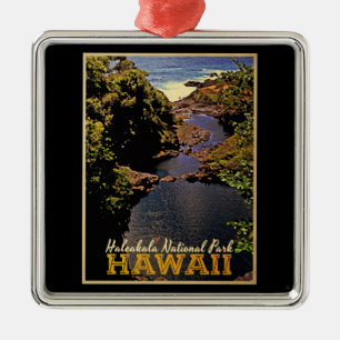 Haleakala Nationalpark Hawaii Silbernes Ornament