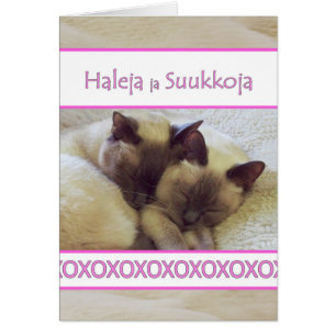 Haleja ja Suukkoja, Hugs et baisers en finnois