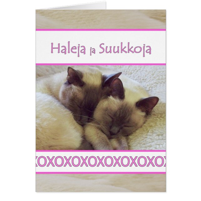 Haleja ja Suukkoja, Hugs und Kisses auf Finnisch (Vorne)