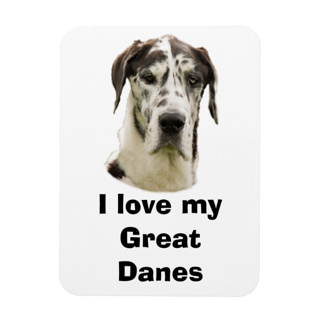 Halequin Great Dane Foto Magnet (Vertikal)
