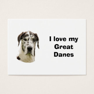 Halequin Great Dane photo de l'animal
