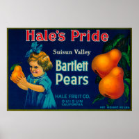 Hale's Pride Pear Crate LabelSuisun, CA