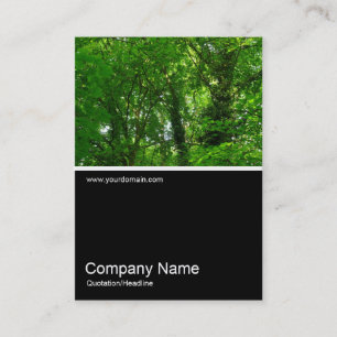 Half&Halb Foto 028 - In den Bäumen Visitenkarte