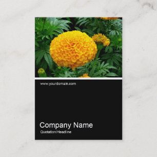 Half&Half Foto 0163 - Orange Chrysanthemum Visitenkarte